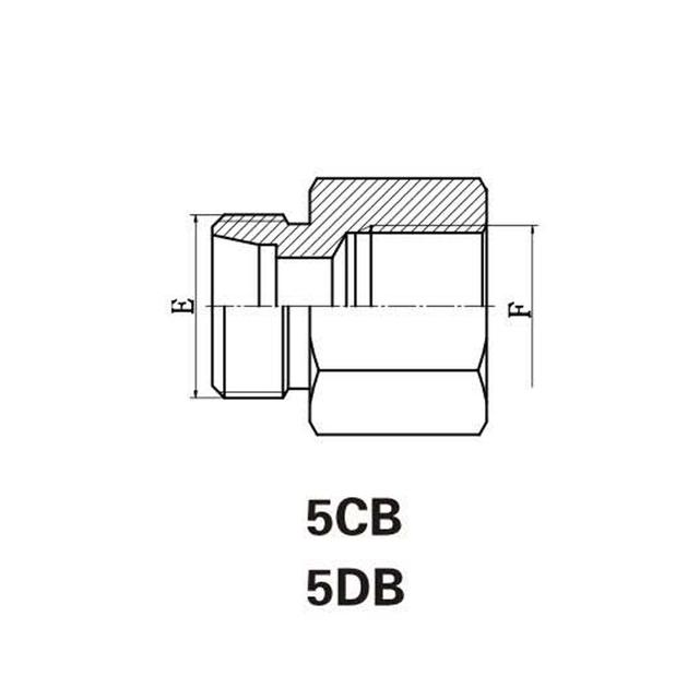 BSP女性